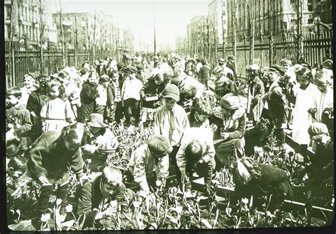 School Garden - New York, 1912 - Library of Congress | School garden ...