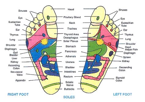 Foot Reflexology & Lymph Drainage Massage – Santé