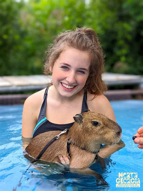 Capybara Swimming Pool