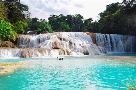 Full-Day Agua Azul and Misol Waterfall Tour with Palenque 2024 - San Cristóbal de las Casas