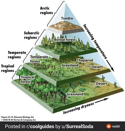 Earth's different biomes : Infographics