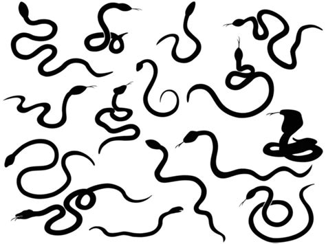 Snake silhouette Vector Art Stock Images | Depositphotos