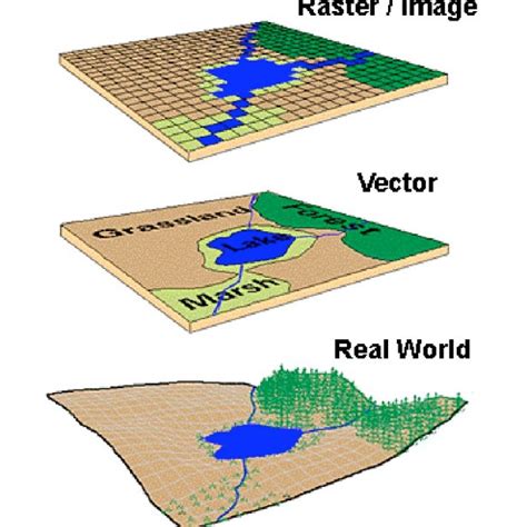 Raster and Vector data types as representative of 'real world ...