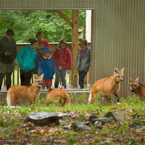 Connecticut's Beardsley Zoo - Home