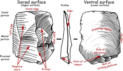 Lithics, Stone Tools, and What they Are! – World of Paleoanthropology