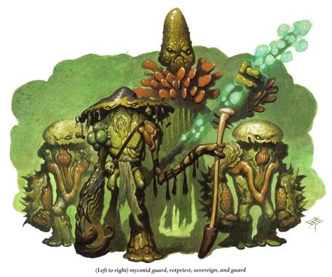 Mushroom people! | Plant monster, Fantasy monster, Fantasy creatures