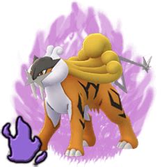 Shadow Raikou | Pokemon GO Wiki - GamePress