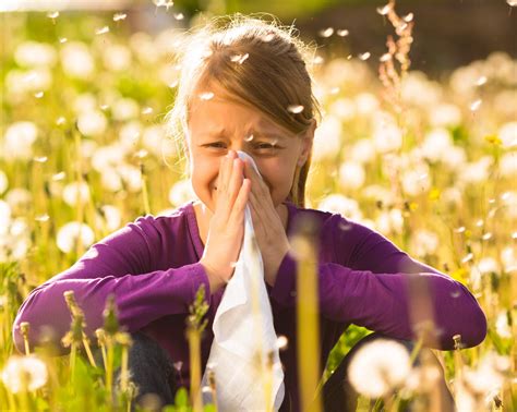 Seasonal Allergies - Legacy Clinic Chiropractic