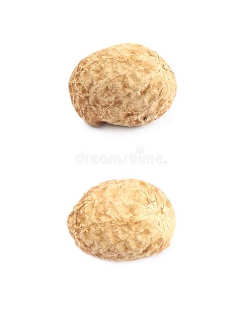 Single Peanut in a Shell Isolated Stock Photo - Image of closeup, dried: 93087294