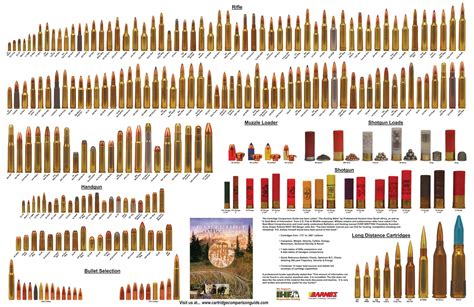 Poster of standard firearm cartridges | Ammunition, Hand guns, Guns and ammo