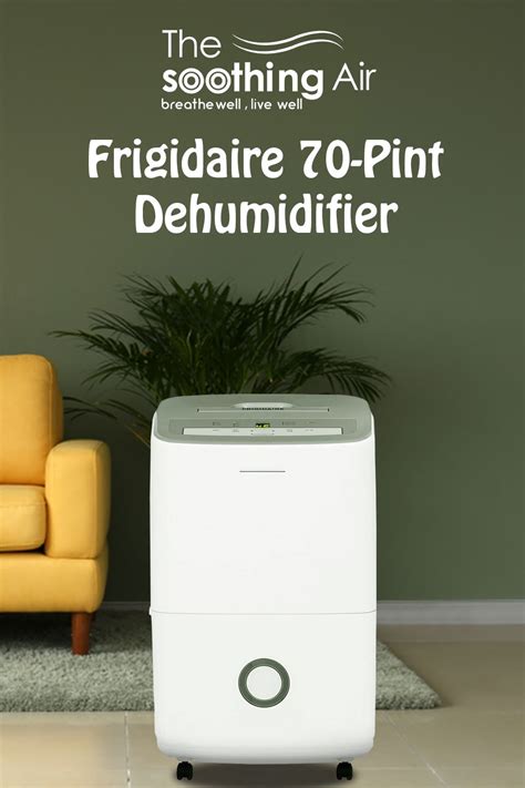 Top 10 Basement Dehumidifiers (March 2021): Reviews & Buyers Guide ...