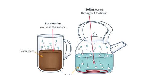 Evaporation Scientific Diagram