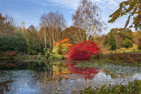 Glow Winter Illuminations at Rosemoor - Greatdays Group Tour