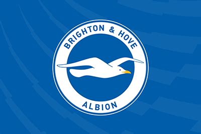 Brighton & Hove Albion wallpaper.