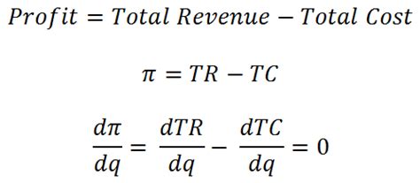 Profit Maximization | Profit, Math, Economics