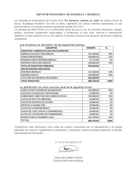 Reporte financiero 2010 by webmaster gesmujer - Issuu