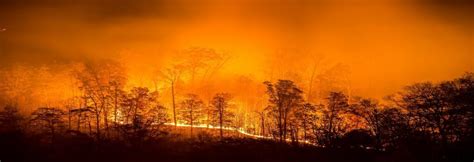 Forest fires in India tripled in the last four months