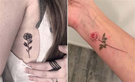 Small Outline Rose Tattoo: See the Most Beautiful Designs Here!