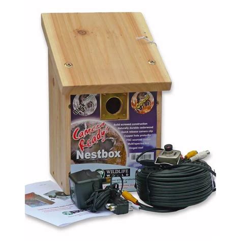 Cedar Bird Nest Box and Colour Camera Kit at Garden Gift Shop