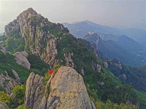 “五岳之首”泰山，看日出和看风景哪个划算？暑期泰山旅游攻略_登山_云海_体力