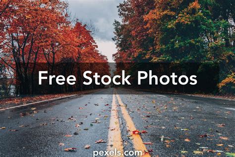 1000+ Beautiful Free Background Photos Pexels · Free Stock Photos