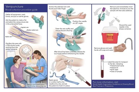 Phlebotomy Procedure Step By Step - E Phlebotomy Training