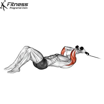 Cable Rope Lying Tricep Extension » Workout Planner