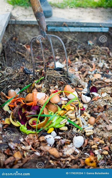 Compost Pit for Organic Scraps Stock Photo - Image of kale, organic: 179039204