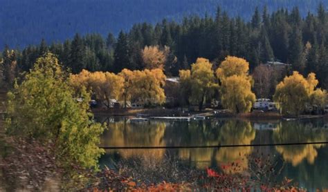 White Lake RV & Fishing Resort - 5 Photos - Sorrento, BC - RoverPass