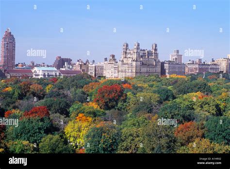 Central Park West skyline elevated view of Central Park with autumn foliage in New York City USA ...