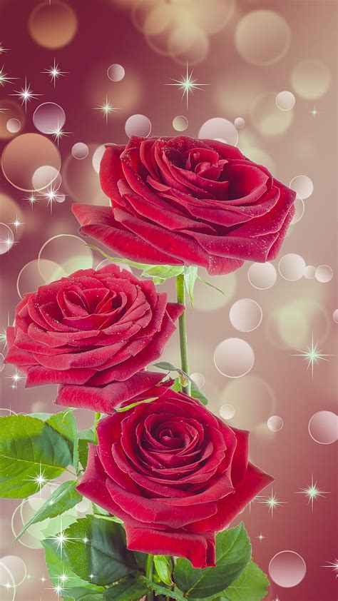 Pink Roses Flowers Wallpaper 1920×1080 | Best Flower Site