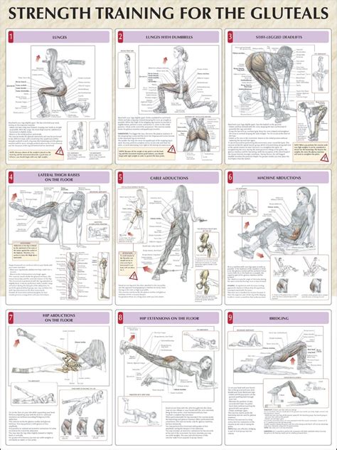 Knee Pain Reduced With Hip Strengthening Exercises