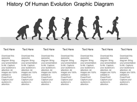 Theory Of Evolution: Theory Of Evolution History Timeline