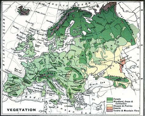 Vegetation Map of Europe, 1915. Geography Map, Plate Tectonics, Europe ...