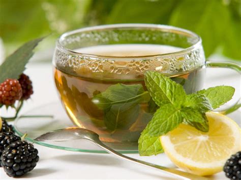 Buy Lemon Balm Tea: Benefits, Preparation, Side Effects | Herbal Teas Online