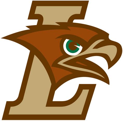 Lehigh Mountain Hawks Colors Hex, RGB, and CMYK - Team Color Codes