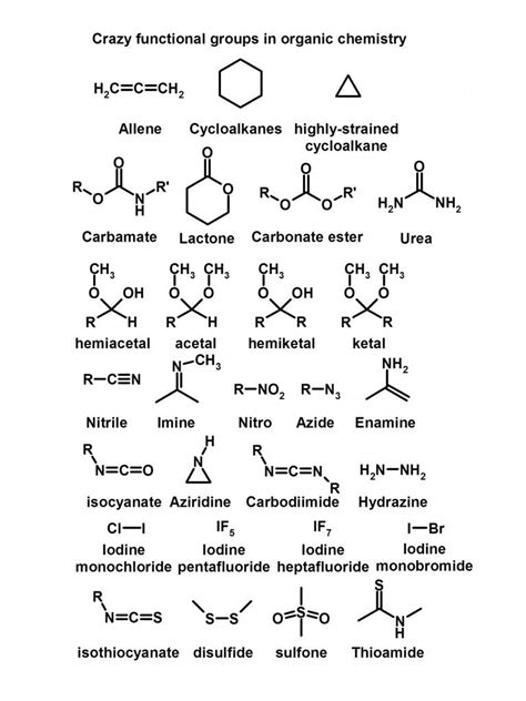 Functional Groups in Organic Chemistry [with diagrams] | Organic chemistry, Functional group ...