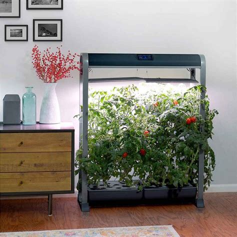 The Best Hydroponic Garden Kits | The Family Handyman