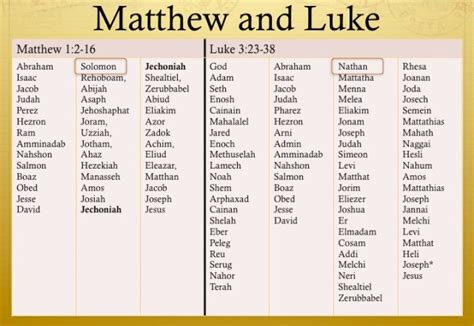 Why Are Jesus' Genealogies in Matthew and Luke Different? Was St. Joseph Adopted, too? Spiritual ...