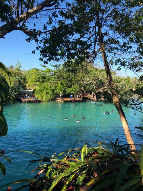 Vanuatu Blue Lagoon | Efaté | Oceania travel, Local tour, Island life