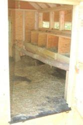 Chicken Coop Flooring - The Homestead Survival