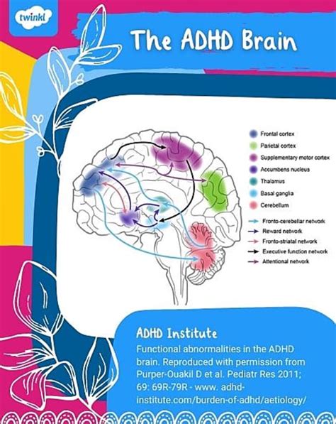 Adult ADHD and Strategies to Help You Flourish - Twinkl