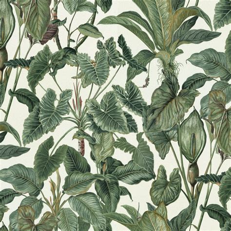 Erismann Paradiso Tropical Leaves Pattern Wallpaper Jungle Leaf Forest Textured 6303-07 - Green ...