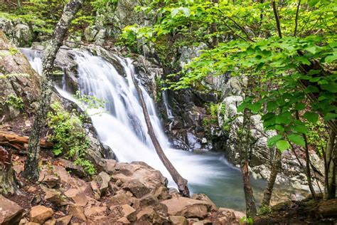 The Best Shenandoah National Park Waterfall Hikes for All Levels - Poppin' Smoke