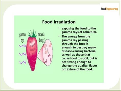 What is Food Irradiation in Food Processing