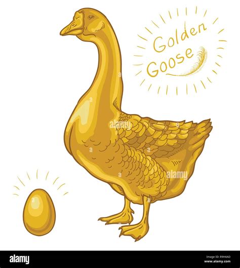 Goose golden egg hi-res stock photography and images - Alamy