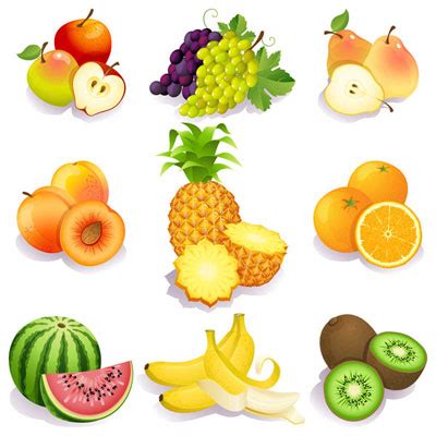 Download Fresh fruits vectors Free Vector Download | FreeImages