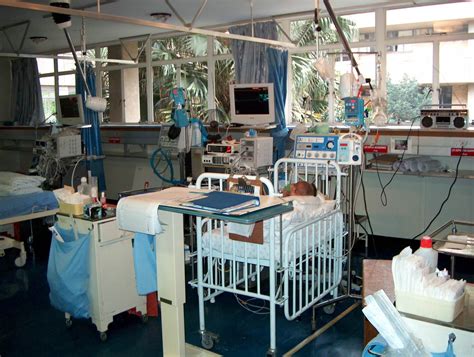 Intensive Care Unit Free Photo Download | FreeImages