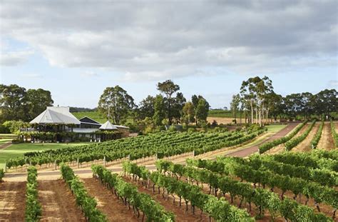 All The Best Margaret River Wineries You Should Have Been To | Urban List Perth