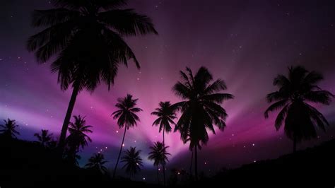 Download Purple Starry Sky Sky Tropical Silhouette Palm Tree Nature Sunset HD Wallpaper